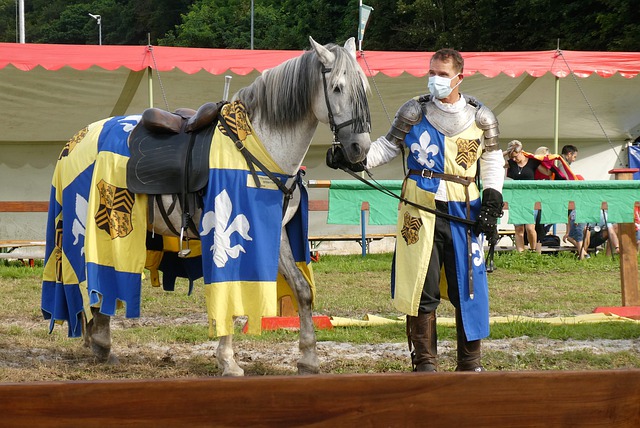 波助力皇马 波助力皇马