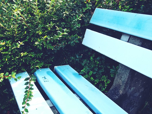 而森林狼队 而森林狼队