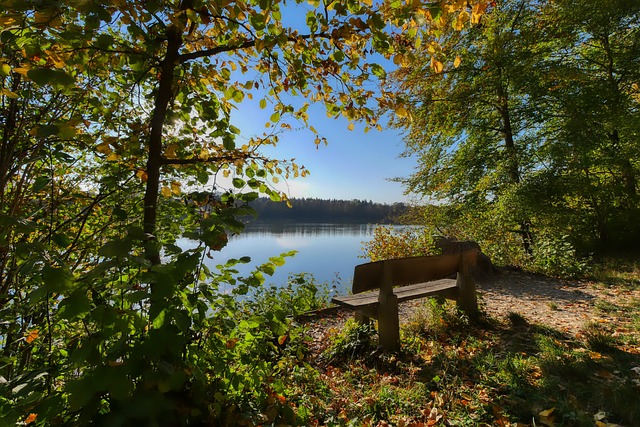 利奠定了坚 利奠定了坚